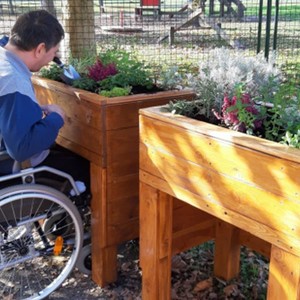 Poziv volonterima u akciji sadnje voćaka u terapijskom parku za djecu s teškoćama u razvoju u Brezovici